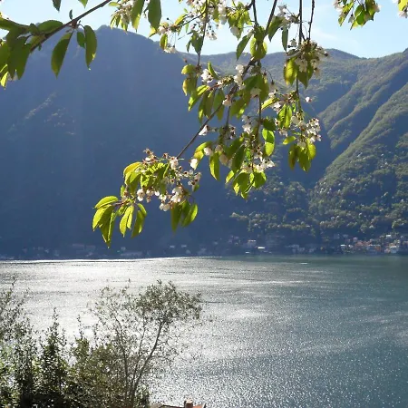Reginaldo's * Nesso