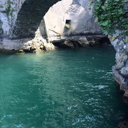 Reginaldo's Nesso