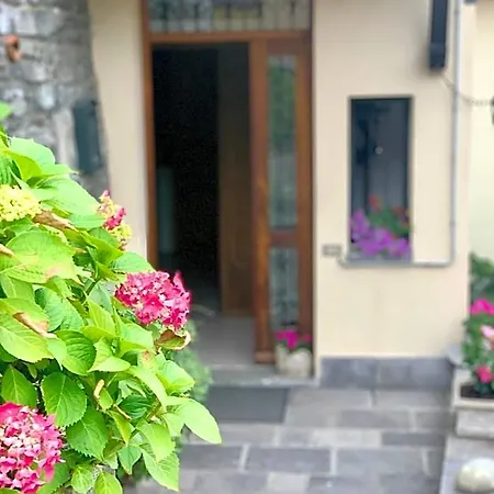Lejlighedshotel Reginaldo's Nesso